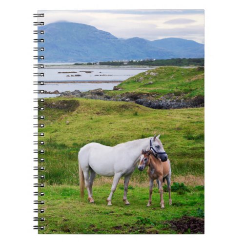 The Horses of Connemara  Galway Ireland Notebook