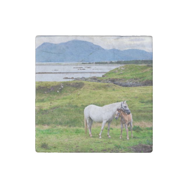The Horses of Connemara | Galway, Ireland Stone Magnet (Front)