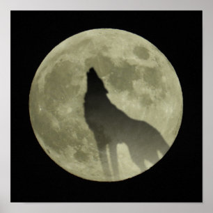 The howling wolf poster