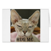 The Hug Me cat (Front Horizontal)