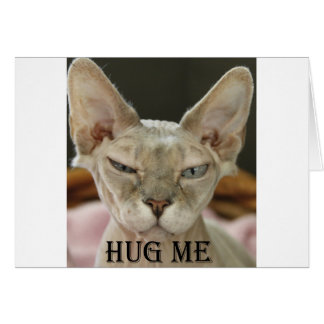 The Hug Me cat Cards