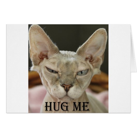 The Hug Me cat Cards (Front Horizontal)