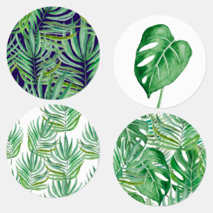 The huge leaves of palm trees and monstera labels