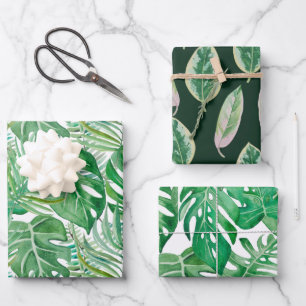 The huge leaves of palm trees and monstera wrapping paper sheets