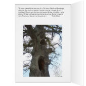 The Huge, Old Oak on 22 Cards (Inside (Left))