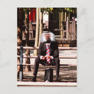 The human ape postcard