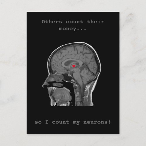 The Human Brain _ Postcard