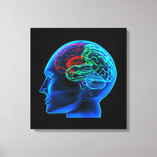 The Human Brain  Stretched Canvas Print (Front)