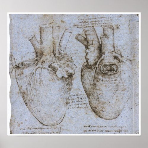 The Human Heart Leonardo da Vinci Poster