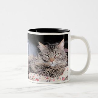 The Human Race Should Know Better Two-Tone Coffee Mug