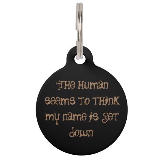 The human thinks my name is get down pet ID tag