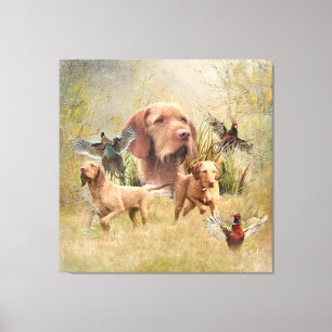 The Hungarian Wirehaired Vizsla Canvas Print