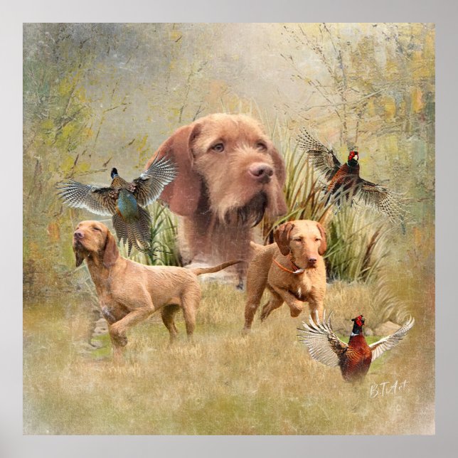 The Hungarian Wirehaired Vizsla  Poster (Front)
