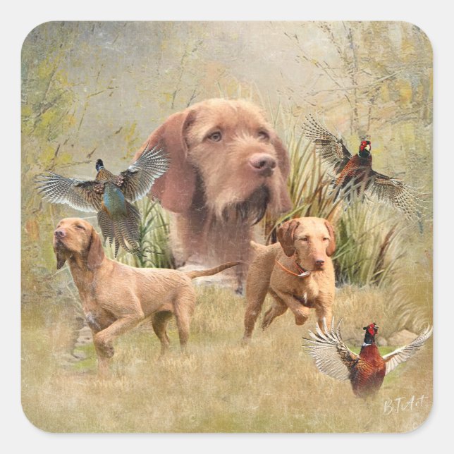 The Hungarian Wirehaired Vizsla  Square Sticker (Front)