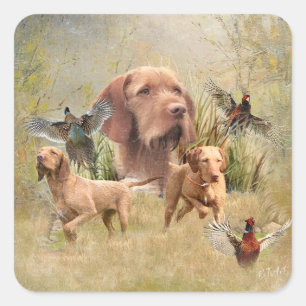 The Hungarian Wirehaired Vizsla Square Sticker