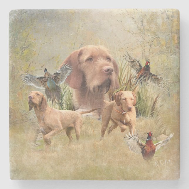 The Hungarian Wirehaired Vizsla  Stone Coaster (Front)
