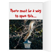 The hungry squirrel (Inside (Left))