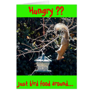 The hungry squirrel cards