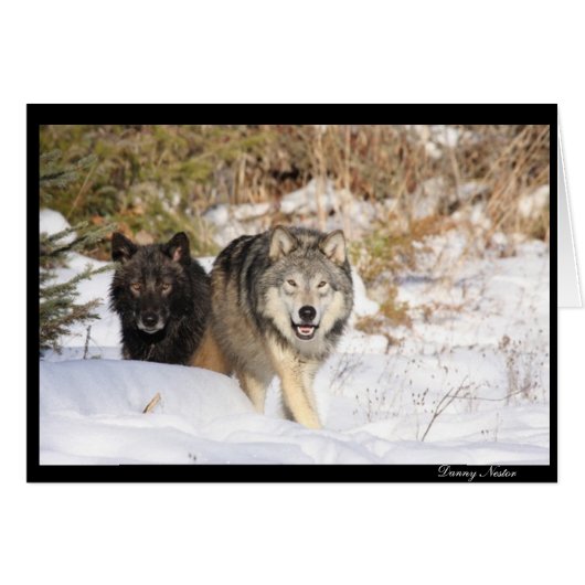 The Hunt (Front Horizontal)