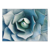 The Huntington Botanical Garden (Front Horizontal)