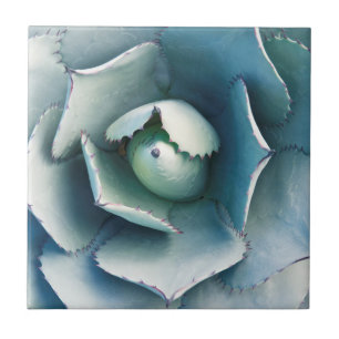 The Huntington Botanical Garden Tile