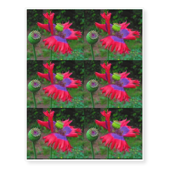 The Hut flag poppy 6 per sheet Temporary Tattoos (Front)