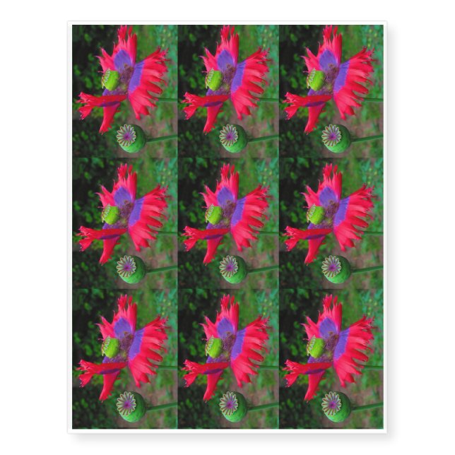 The Hut poppy capture 9 per sheet Temporary Tattoos (Front)