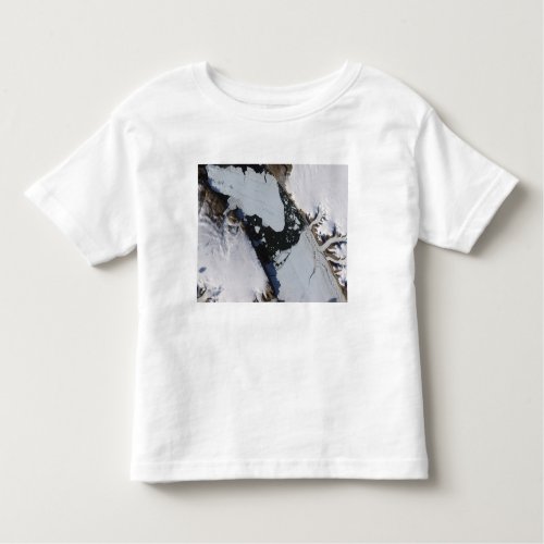 The ice island toddler t_shirt