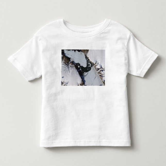 The ice island toddler t-shirt (Front)