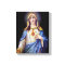 The Immaculate Heart of Mary
