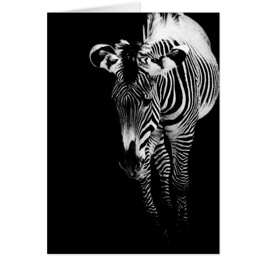 The Imperial One Card (Front)