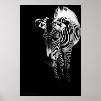 The Imperial One Print