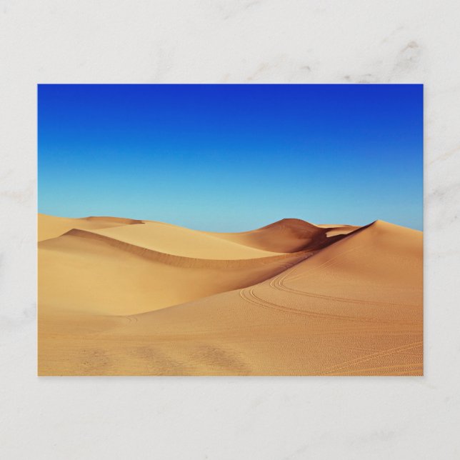The Imperial Sand Dunes, California Postcard (Front)