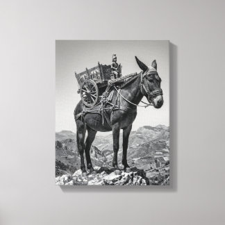 The Impossible Ascent: Surreal Sicilian Heritage i Canvas Print