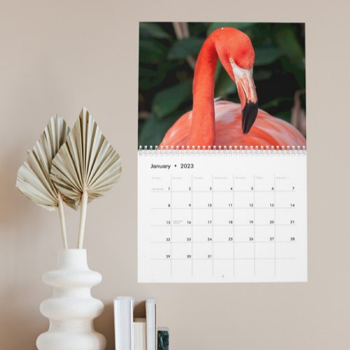 The Incredible Flamingo Calendar Choose Year