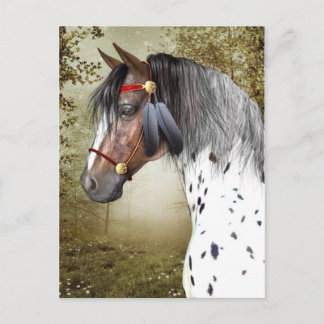 The Indian Pony Postcard