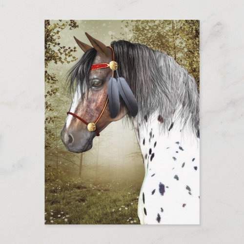 The Indian Pony Postcard