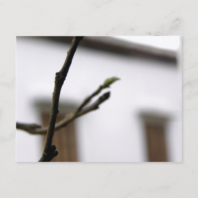 The Initial Postcard (Front)