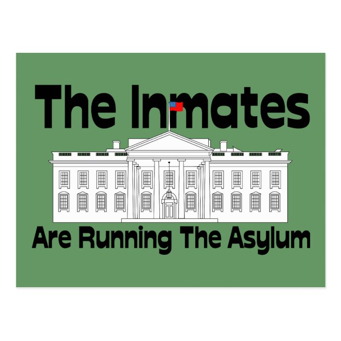 The Inmates Are Running The Asylum Postcard