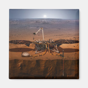 The Insight Lander Magnet