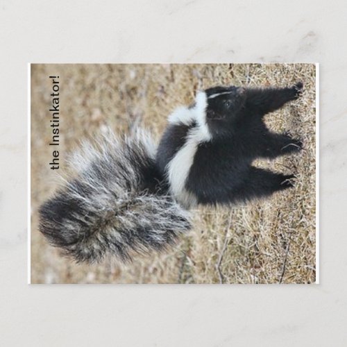 the Instinkator Skunk postcard