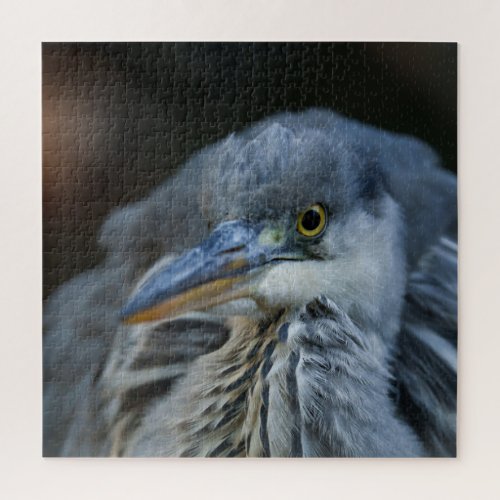 The Intense Gaze of a Grey Heron in Close_Up Jigsaw Puzzle