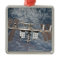 The International Space Station 8