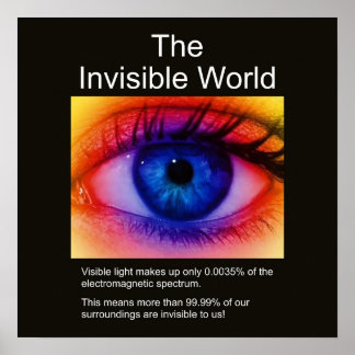 The Invisible World Poster
