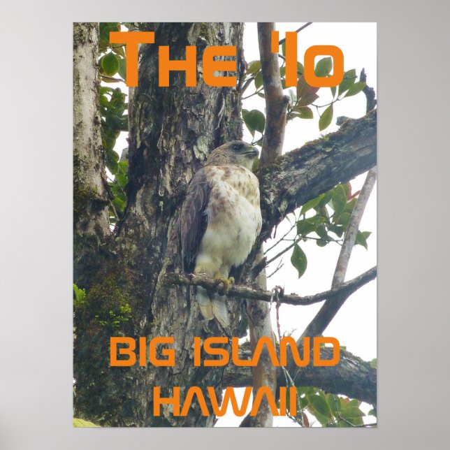 The 'Io BIG ISLAND HAWAII Poster (Front)