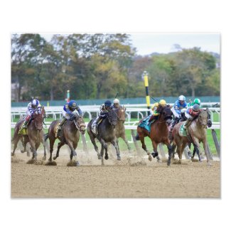 The Iroquios Stakes - Empire Showcase Day Photo Print