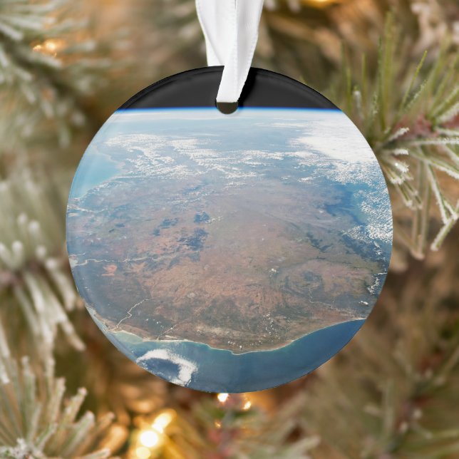 The Island Of Madagascar. Ornament (Tree)