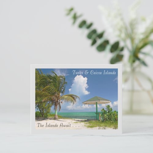 THE ISLANDS AWAITTURKS AND CAICOS ISLANDS POSTCARD