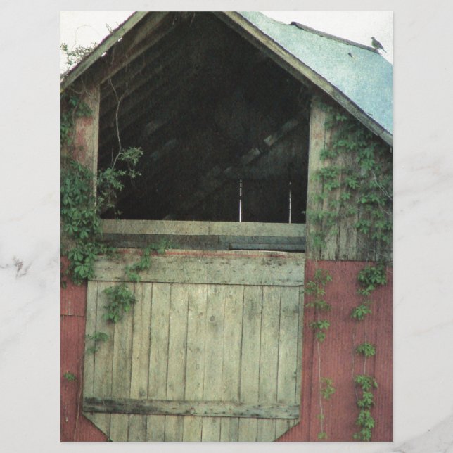 The Ivy Barn (Front)