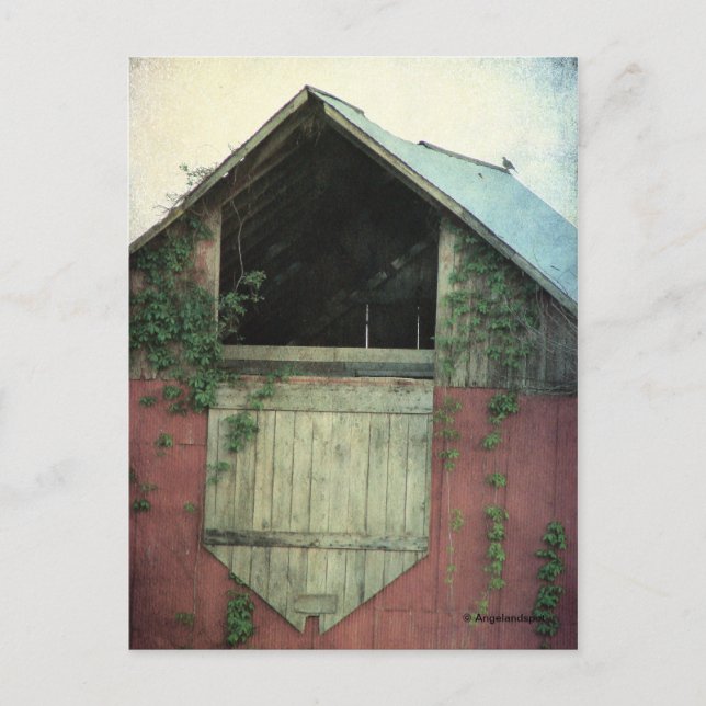 The Ivy Barn Postcard (Front)